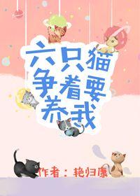 6 Cats Rush to Raise Me