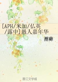 [APH Mega Bu Ying Lu Zhong] Fools' Carnival