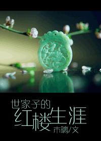 Aristocratic family's career in the Red Chamber