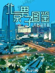 Beijing men's illustrated book