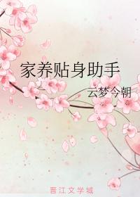 Domestic personal assistant
