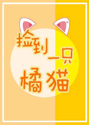 found an orange cat