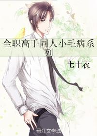 Full-time master fan series of small problems