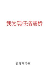 I build a magpie bridge for my current