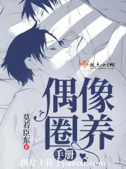 Idol Captive Handbook