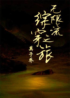 Infinite Flow Comprehensive Journey