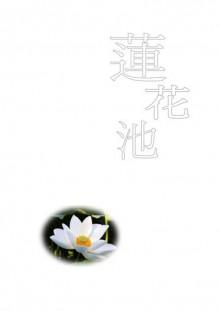 lotus pond