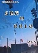 [My English] Susugi from the Logistics Division