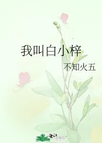 My name is Bai Xiaozi
