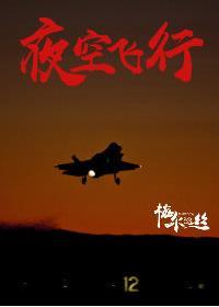 night sky flight