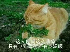rival lover tagged me abo