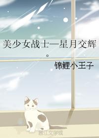 Sailor Moon - The Moon and the Stars.