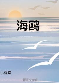 Seagull