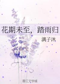 The flowering period has not yet arrived, and the rain returns