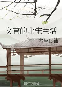 The illiterate life in the Northern Song Dynasty