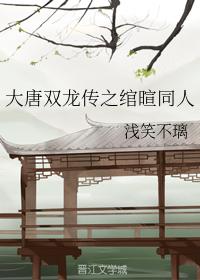 The Legend of Double Dragon of the Tang Dynasty: Wanxuan colleagues