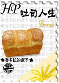 toast life