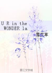 UR in the WONDER lab