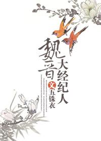 Wei Jin big broker