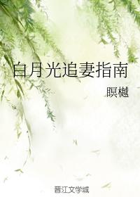 White Moonlight's Guide to Chasing Wife