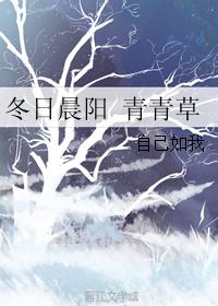 winter morning sun green grass