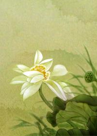 Yi Ren from afar