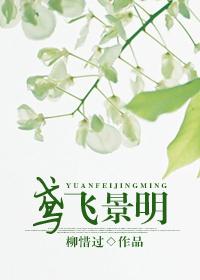 Yuanfei Jingming
